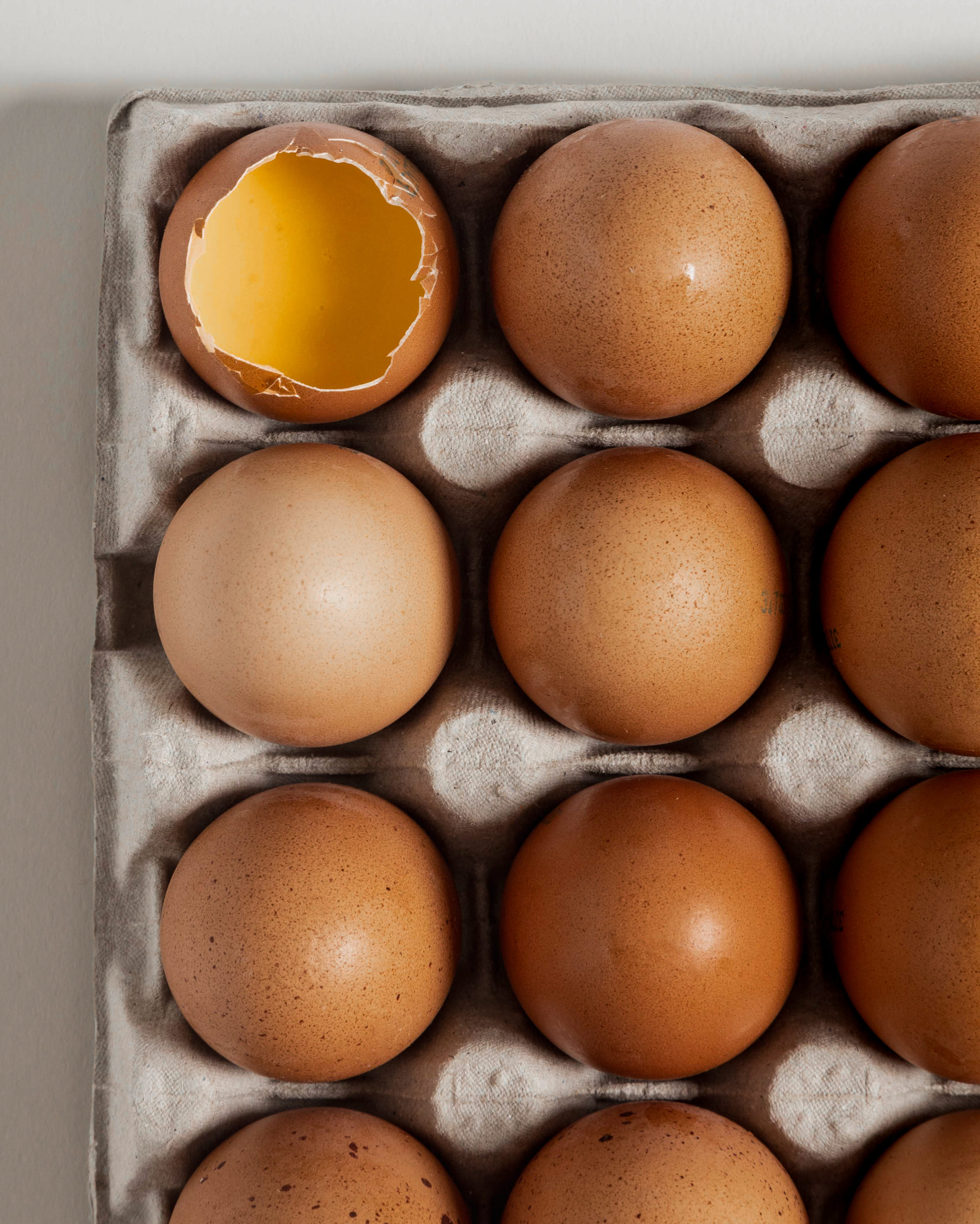 GHŌUD VENICE / Buon Appetito 1
