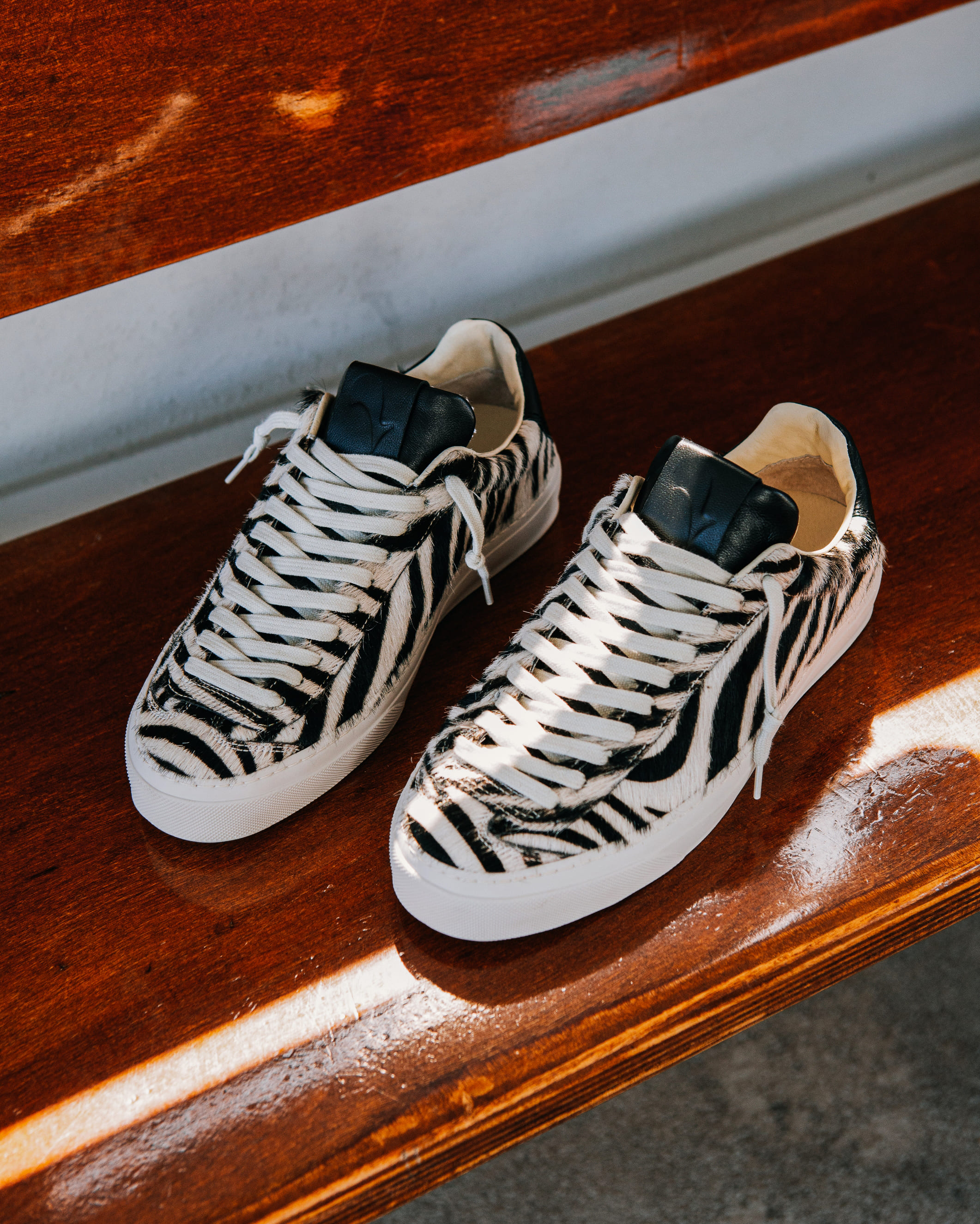 AQUA ALTA / Borrowed Light 1