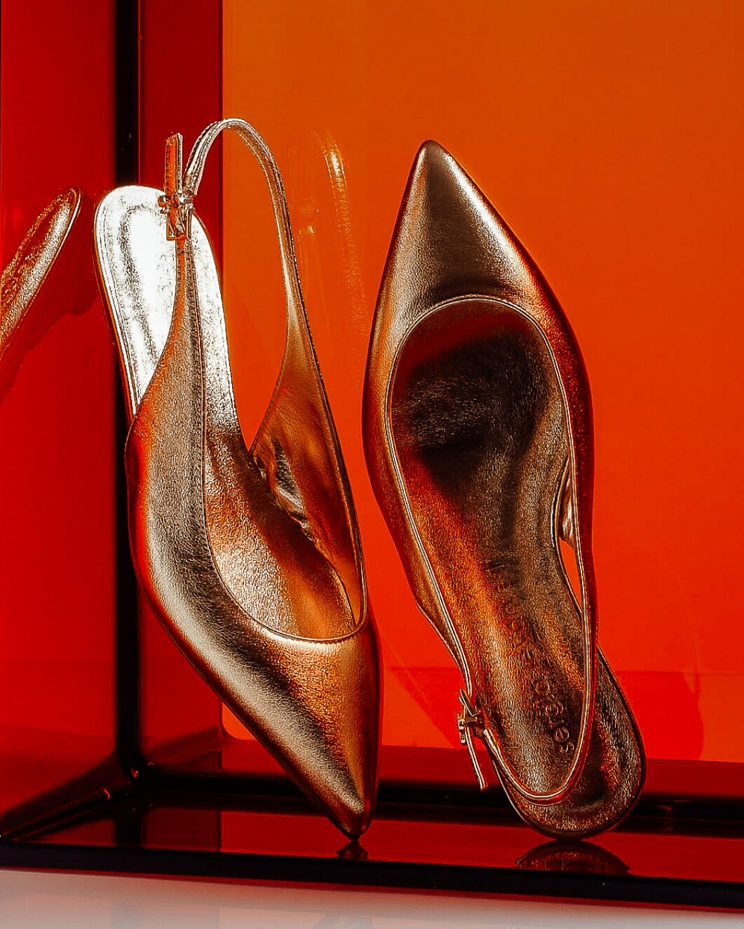 SERGIO LEVANTESI / The Tinted Series 3