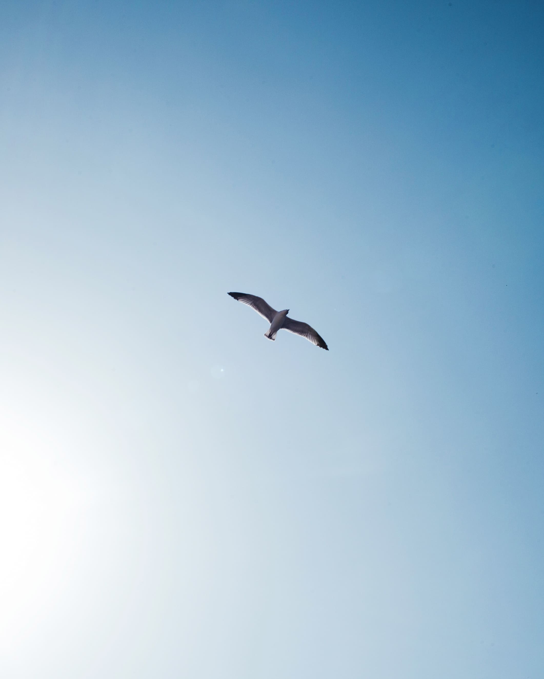 GHŌUD VENICE / Bella Venezia 7