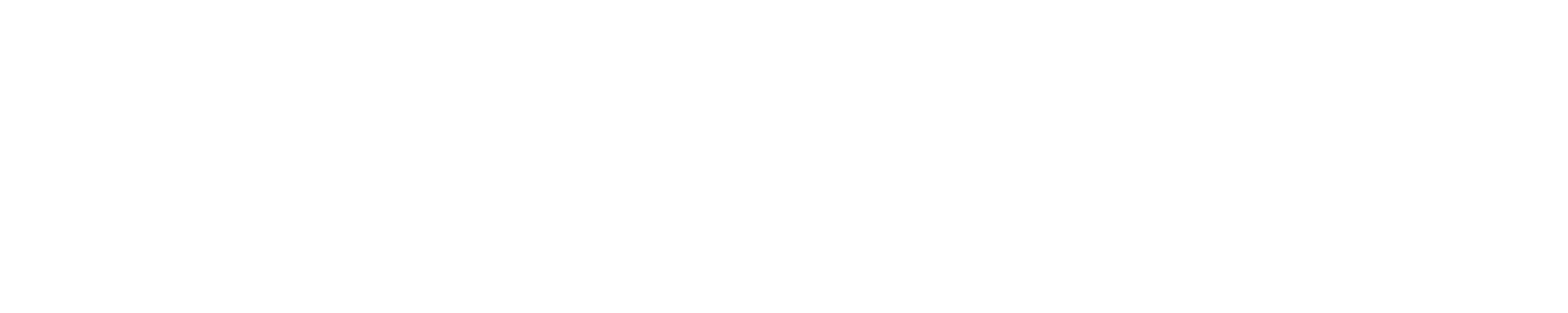 sergio-levantesi_logo_heavy